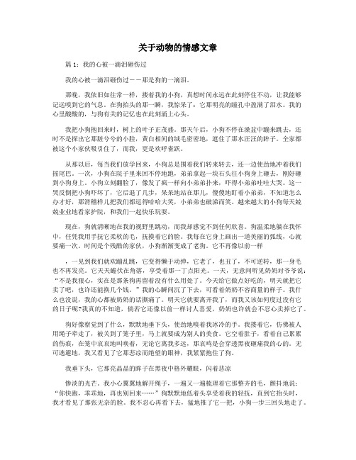 关于动物的情感文章