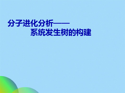 系统发育树构建PPT(共10张PPT)