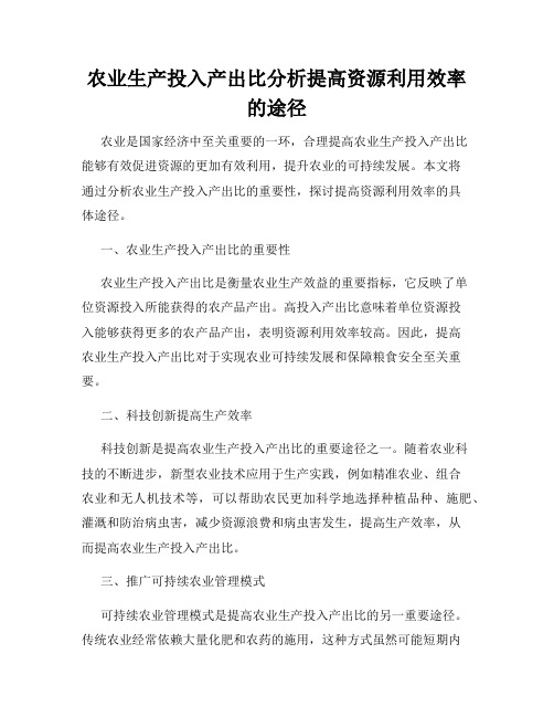 农业生产投入产出比分析提高资源利用效率的途径