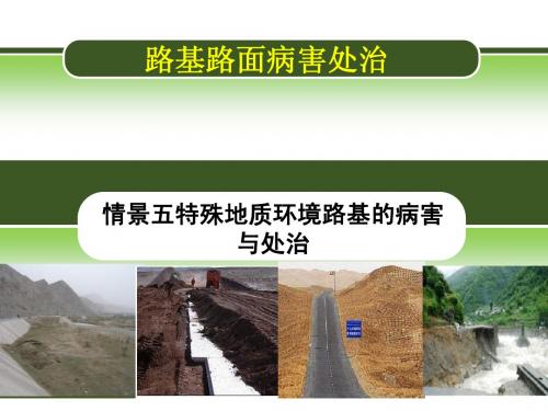 【路基路面病害处治-王进思、程海潜】5学习情境五  其它特殊地基病害处治