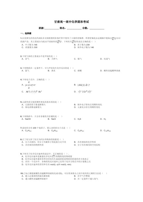 甘肃高一高中化学期末考试带答案解析
