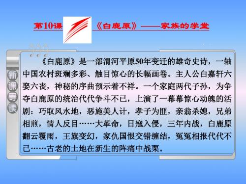 《白鹿原》之家族的学堂课件