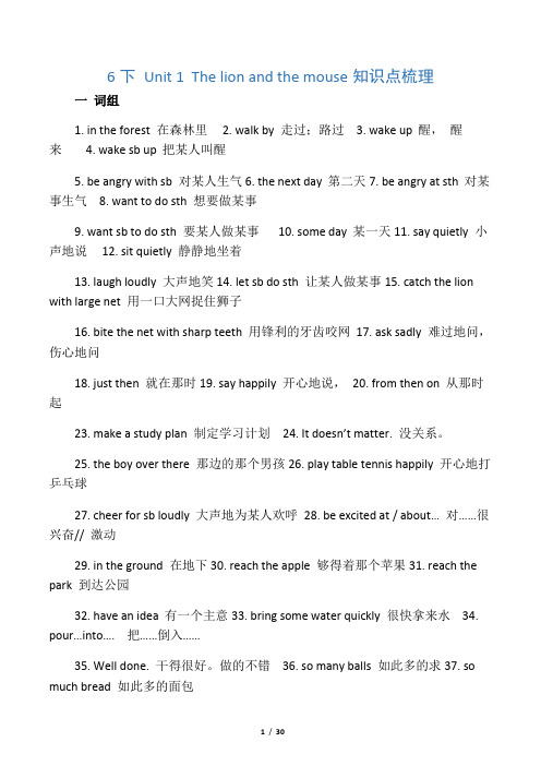 新译林英语6B_全册知识点梳理(重点词汇、句型、语法知识整理)