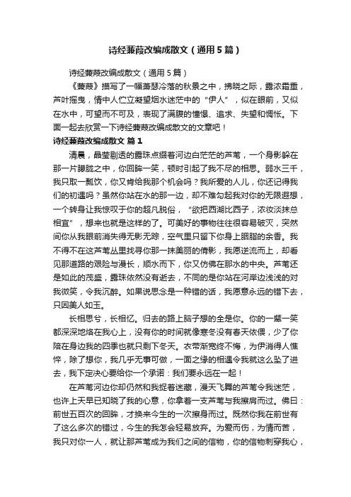 诗经蒹葭改编成散文（通用5篇）