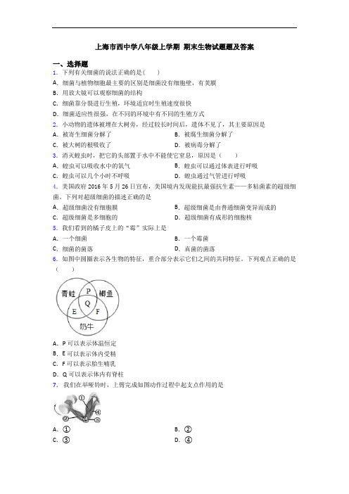 上海市西中学八年级上学期 期末生物试题题及答案