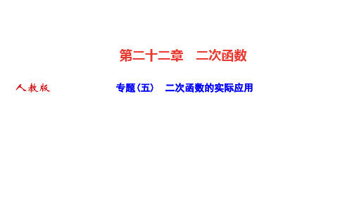 人教版九年级数学上册作业课件 第二十二章 二次函数 专题(五) 二次函数的实际应用