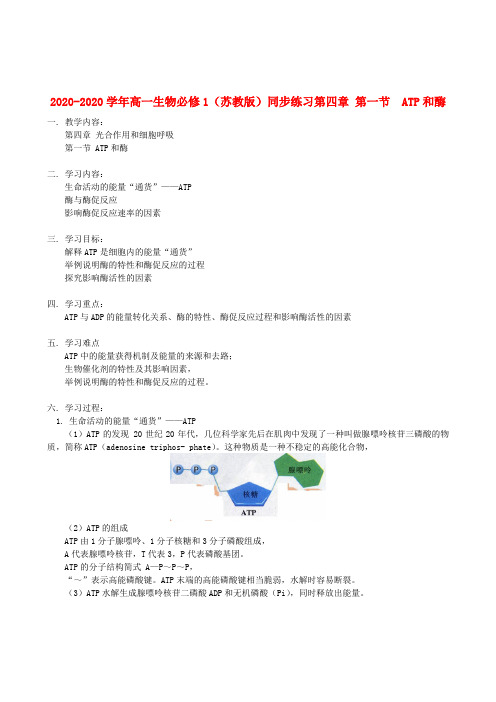 2020-2020学年高中生物 第四章 第一节 ATP和酶同步练