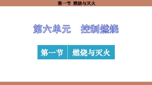 6.1 燃烧与灭火课件 (共32张PPT)(2024)化学鲁教版九年级上册