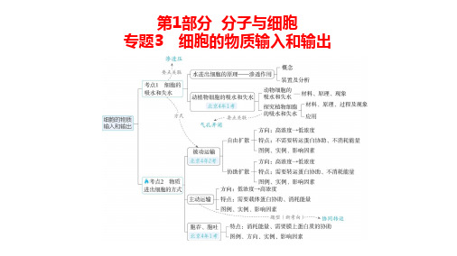 高中生物总复习讲解课件：专题3  细胞的物质输入和输出(共17张PPT)