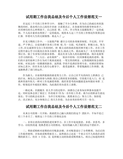 试用期工作自我总结及今后个人工作设想