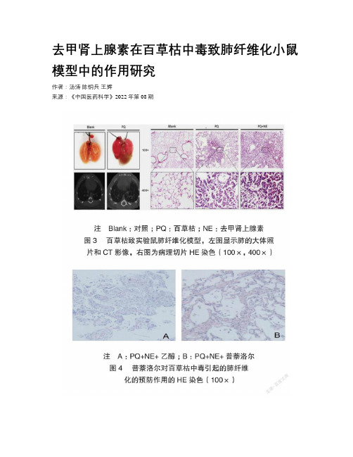 去甲肾上腺素在百草枯中毒致肺纤维化小鼠模型中的作用研究