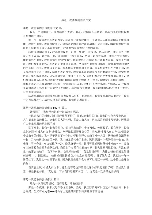 那是一次勇敢的尝试作文