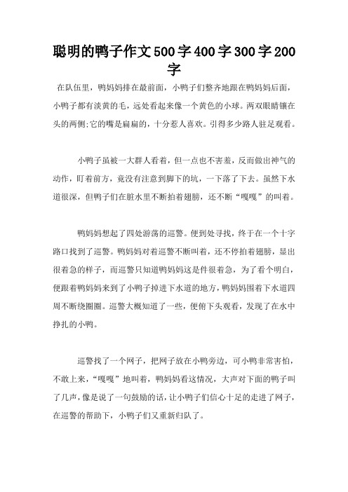 聪明的鸭子作文500字400字300字200字