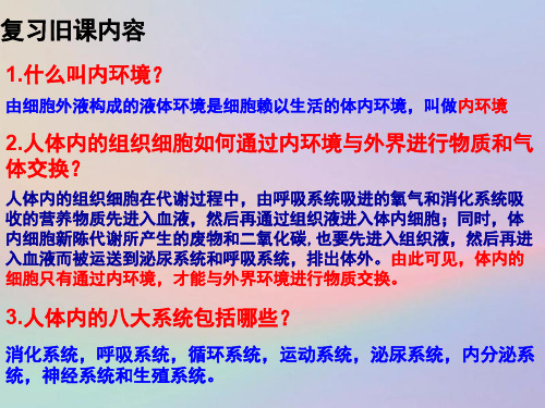 人教版高中生物必修三内环境稳态的重要性课件PPT(51张)