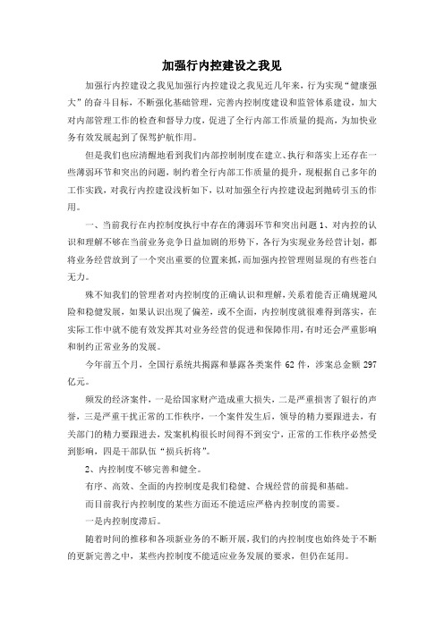 最新-加强行内控建设之我见 精品