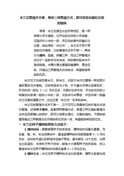 米兰花繁殖并不难，教你三种繁殖方式，即可培育出健壮花美的植株