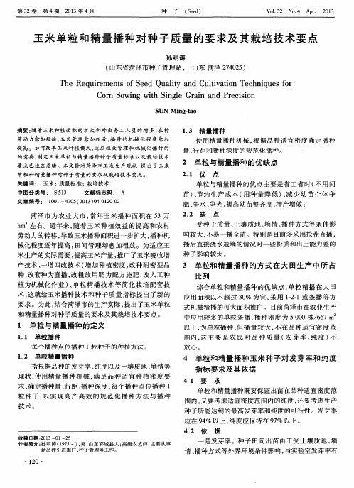 玉米单粒和精量播种对种子质量的要求及其栽培技术要点