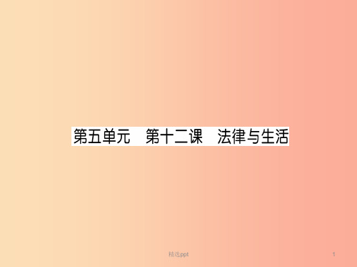 201X中考道德与法治复习 七下 第12课 法律与生活课件 教科版