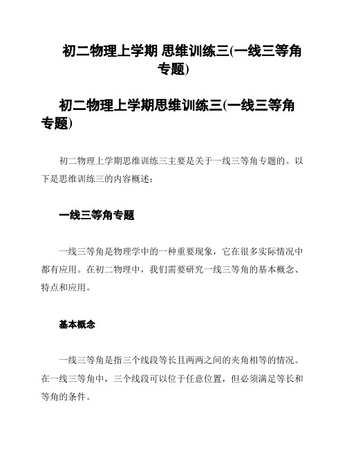 初二物理上学期 思维训练三(一线三等角专题)