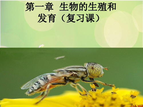 生物的生殖和发育(复习课)