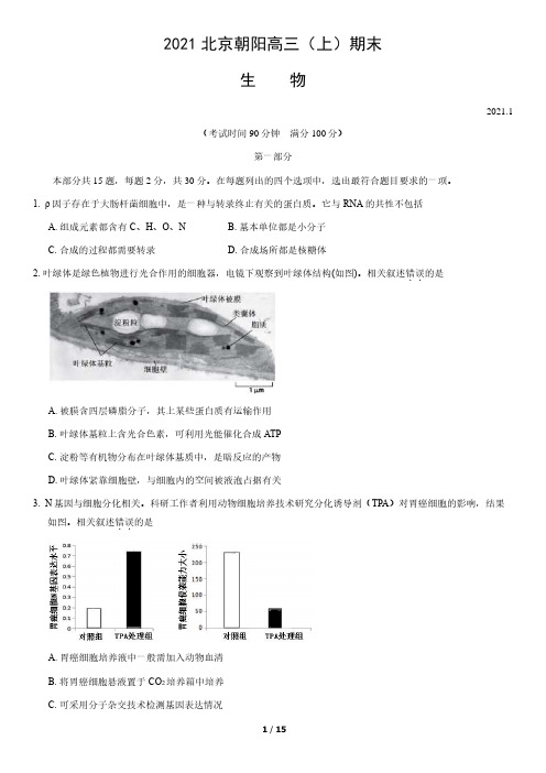 2021 北京朝阳高三(上)期末生物试卷