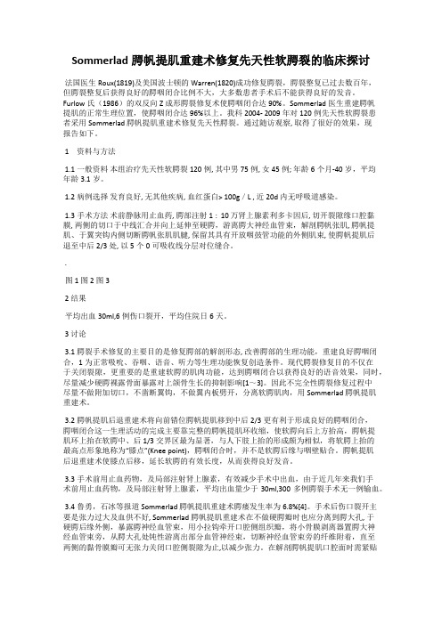 Sommerlad腭帆提肌重建术修复先天性软腭裂的临床探讨