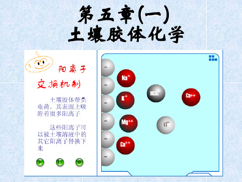 第五章(1) 土壤胶体化学与表面反应