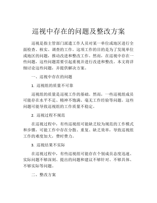 巡视中存在的问题及整改方案