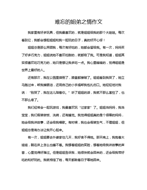 难忘的姐弟之情作文