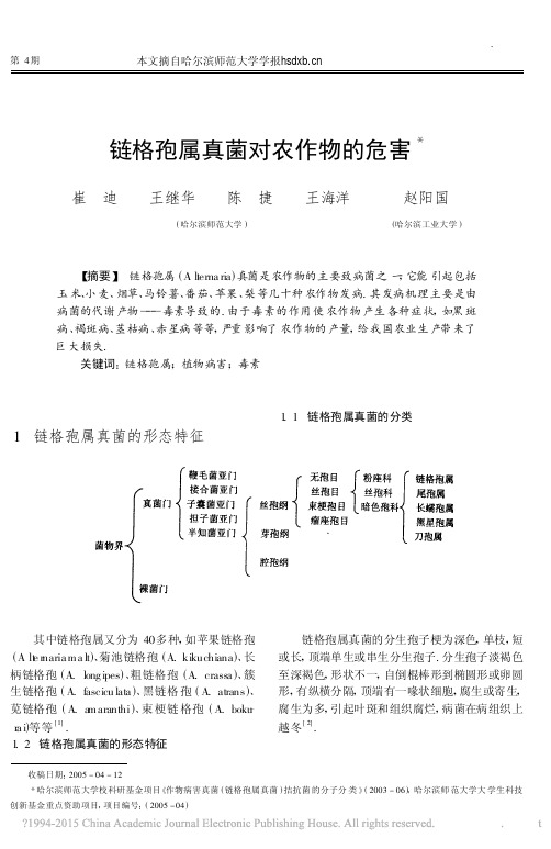 链格孢属真菌对农作物的危害_崔迪