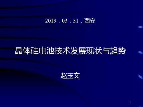 晶体硅电池技术发展现状与趋势-PPT精选文档