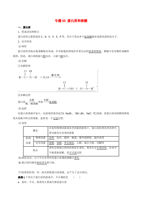蛋白质和核酸-人教版高中化学选修5练习检测