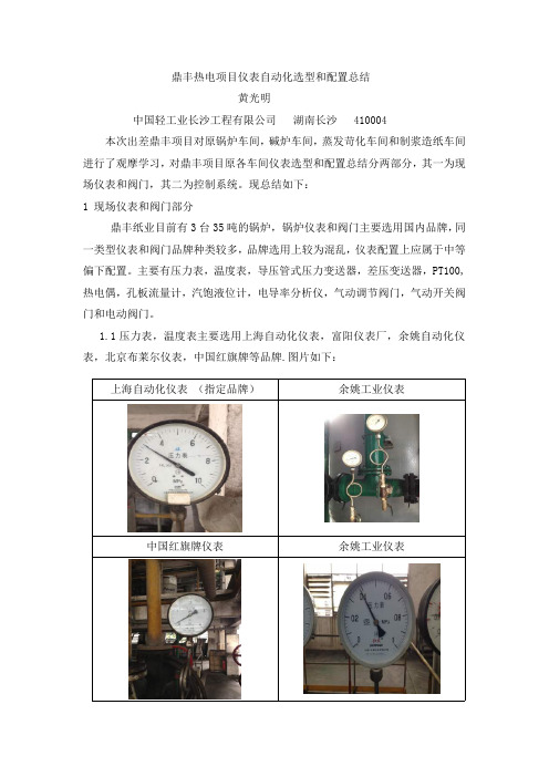 广东鼎丰热电项目仪表配置总结黄光明