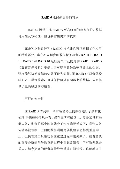 RAID 6