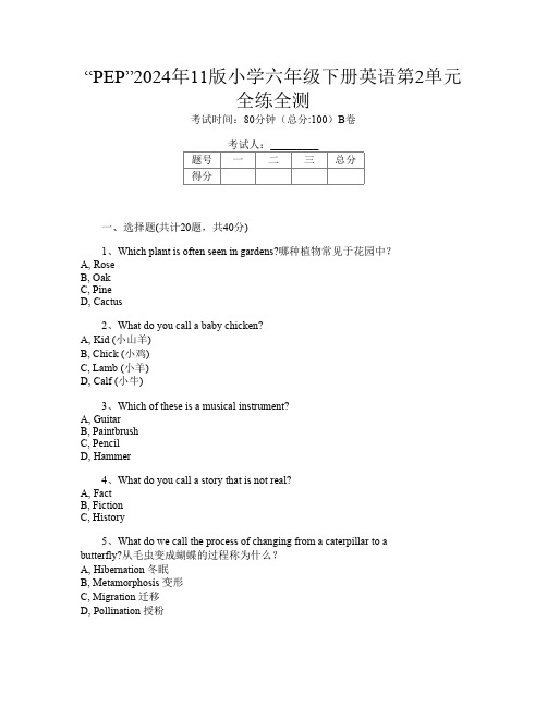 “PEP”2024年11版小学六年级下册第六次英语第2单元全练全测