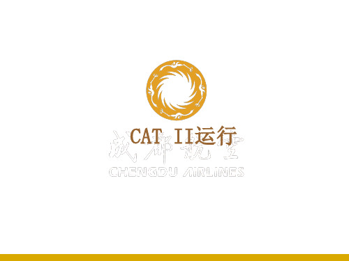 二类运行CATII