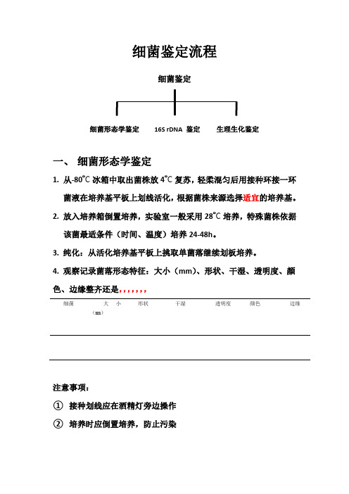 细菌鉴定流程