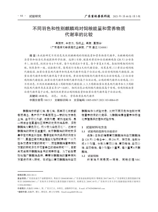 不同羽色和性别麒麟鸡对饲粮能量和营养物质代谢率的比较