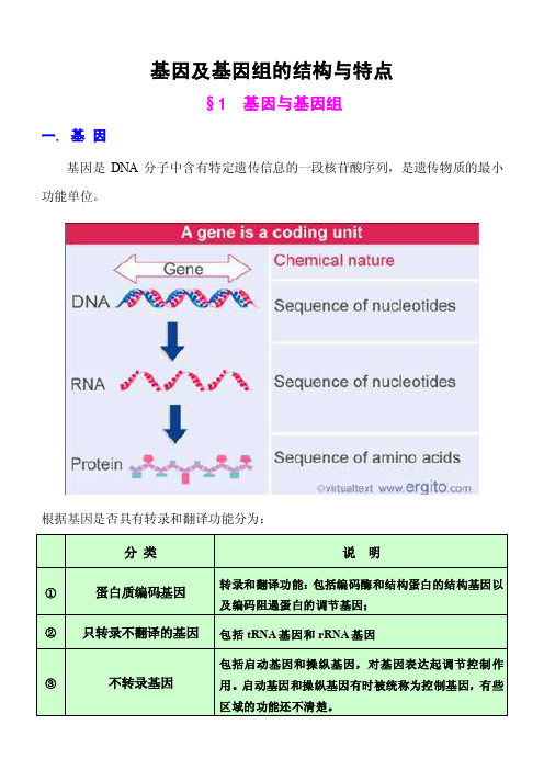 1.5基因及基因组的结构与特点