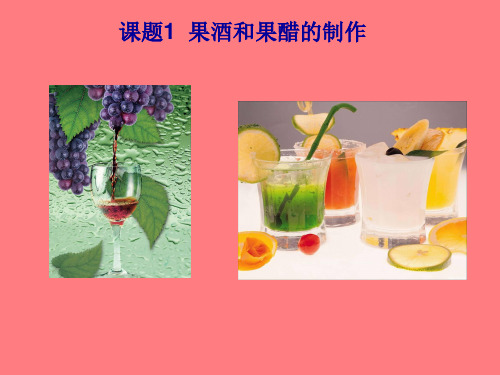 课题果酒和果醋的制作-精品.ppt