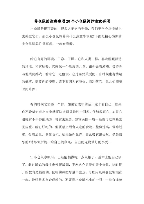 养仓鼠的注意事项20个小仓鼠饲养注意事项