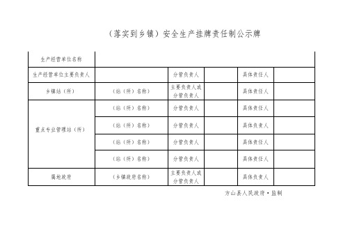 安全生产挂牌责任制公示牌格式