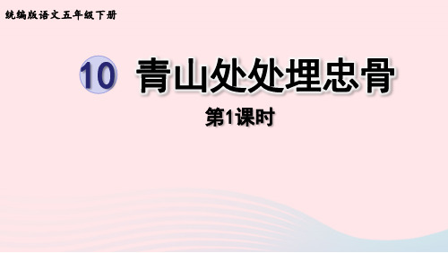 2023五年级语文下册第4单元10青山处处埋忠骨第1课时课件新人教版