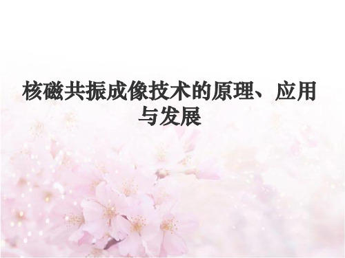 MRI简介