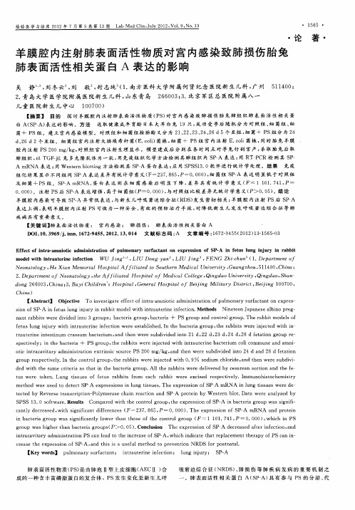 羊膜腔内注射肺表面活性物质对宫内感染致肺损伤胎兔肺表面活性相关蛋白A表达的影响