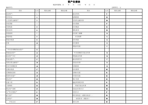 标准资产负债表模板