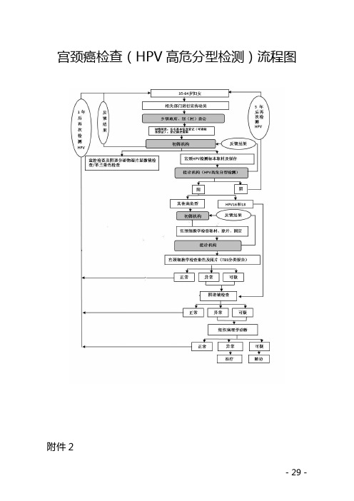 宫颈癌检查HPV高危分型检测流程图