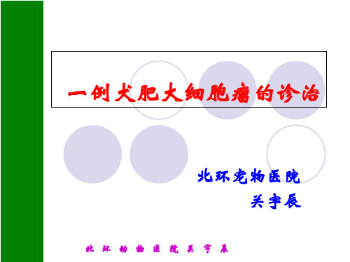 肥大细胞肿瘤ppt课件