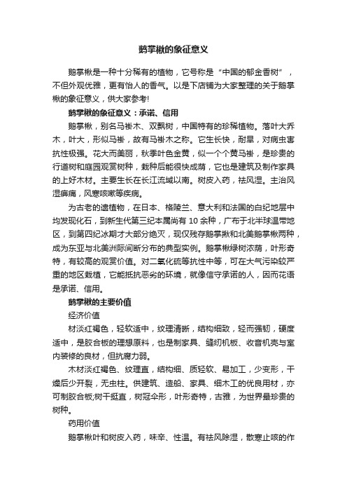 鹅掌楸的象征意义