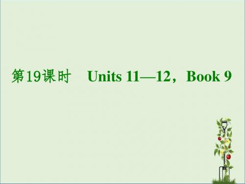 2014届中考英语一轮复习PPT课件 第19课时 Units 11—12,Book 9